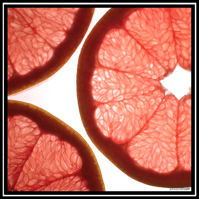 translucent_grapefruit.jpg